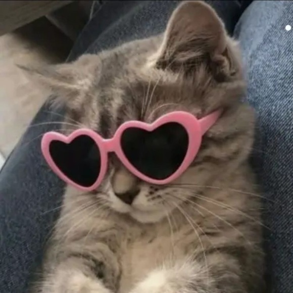 siimplybxbbles